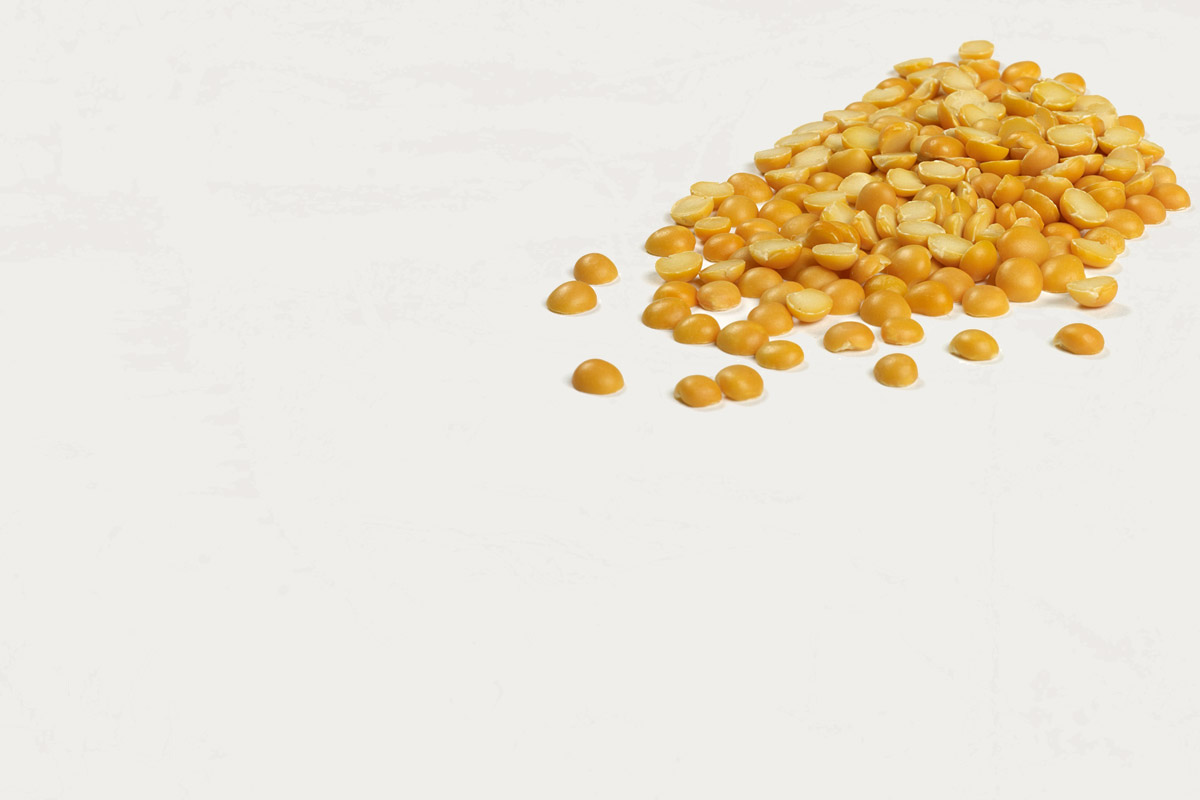 What Are Yellow Split Peas? Camellia Brand