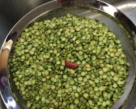 a bowl of green beans with a singular red bean in the middle on top